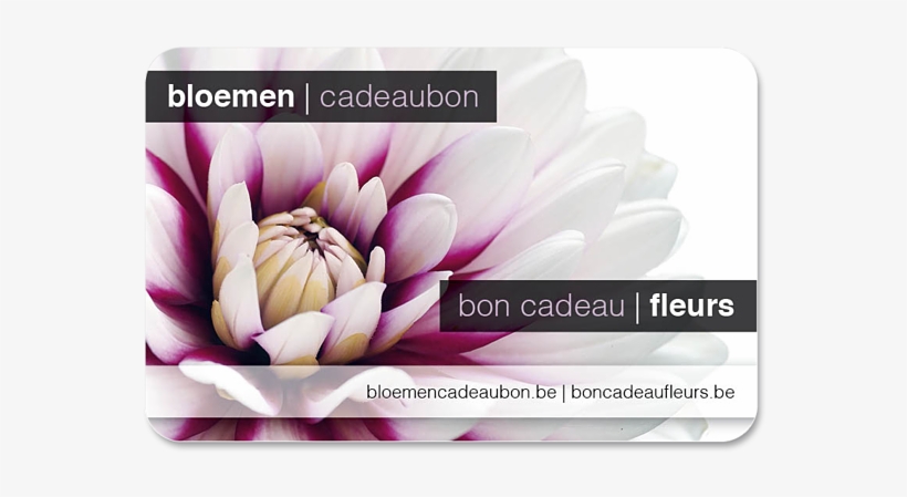 Flower Gift Card Dahlia - Bloemencadeaubon, transparent png #3649397