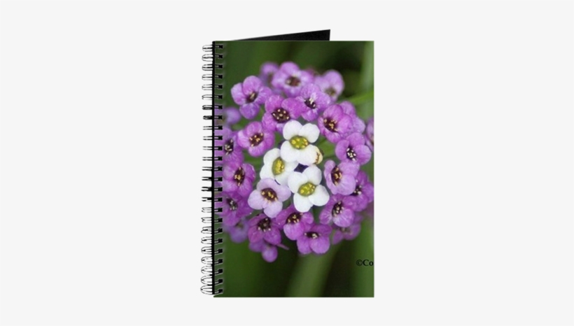Alyssum Small Flower Bloom 142 Journal - Colorful Alyssum Flower Beach Towel, transparent png #3649582