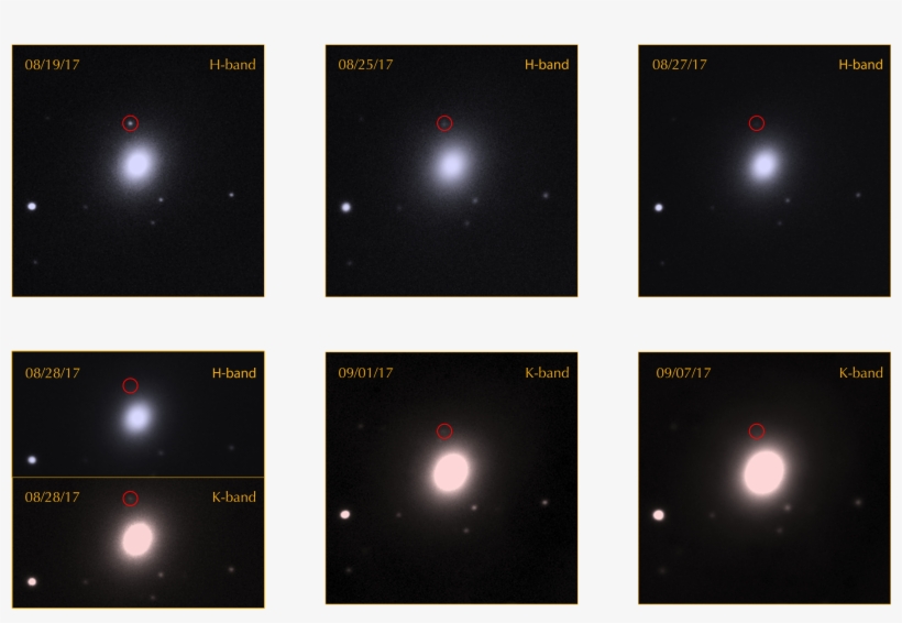 For Individual Frames Visit This Page - Neutron, transparent png #3651148