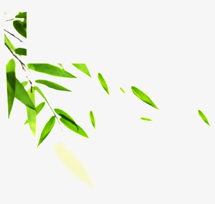 Hand Painted Bamboo Leaves Hd Png - Blackhead 3 Step Kit, Luckyfine - Skin Care Peeling, transparent png #3652753