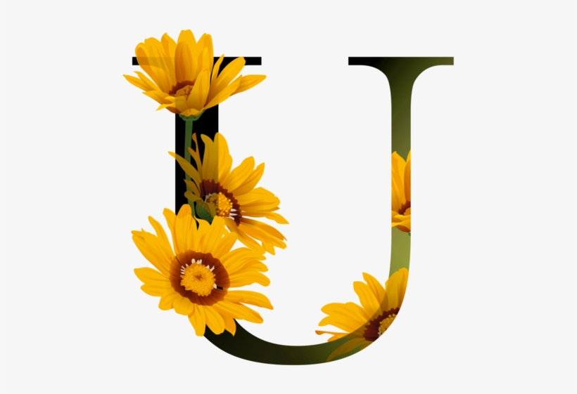 花瓣字母素材 - Letter, transparent png #3653120