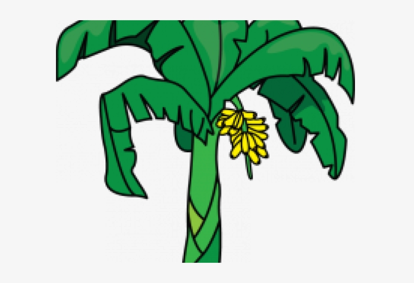 Banana Tree Clipart, transparent png #3653181