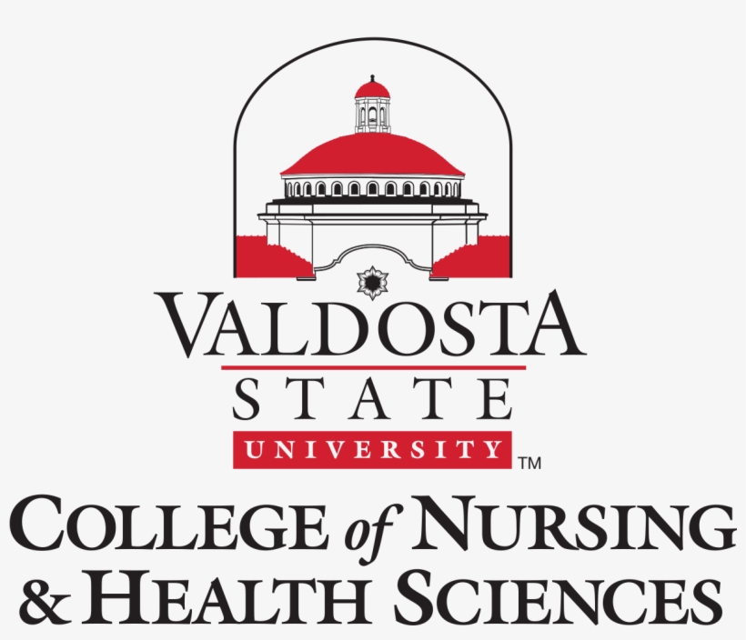Conhs Students Recognized For Outstanding Achievement - Valdosta State University, transparent png #3654253