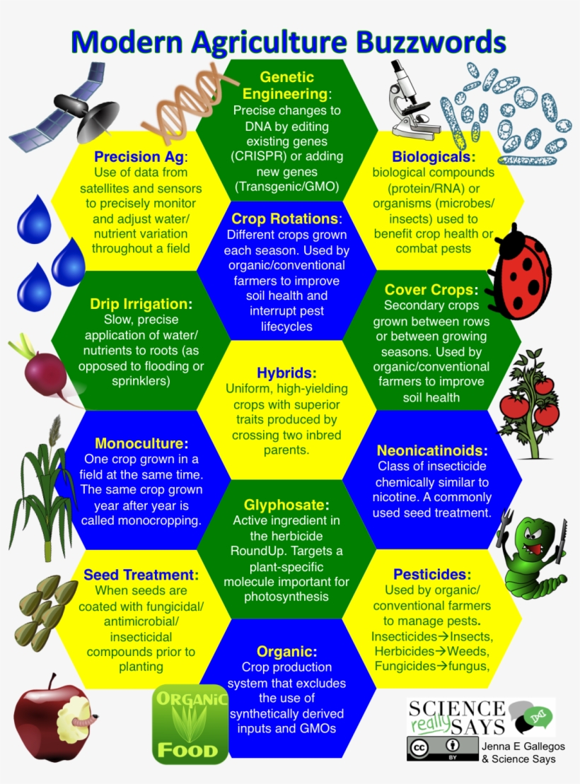 Buzzwords Infographic - Apple With Worm, transparent png #3654276
