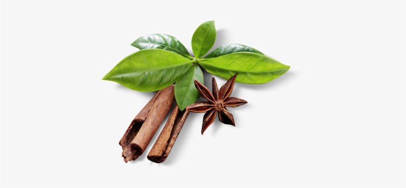 Slider 2 El 1 - Cinnamon Leaves Png, transparent png #3654438