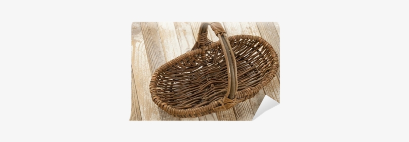 Photography, transparent png #3654704