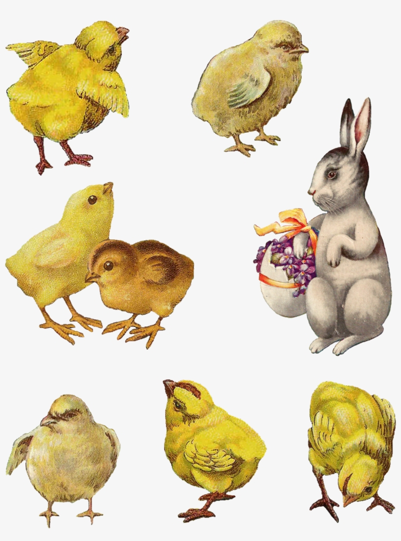 Easter Chicks Bunny Collage Sheet Download - Cardmaking, transparent png #3655070