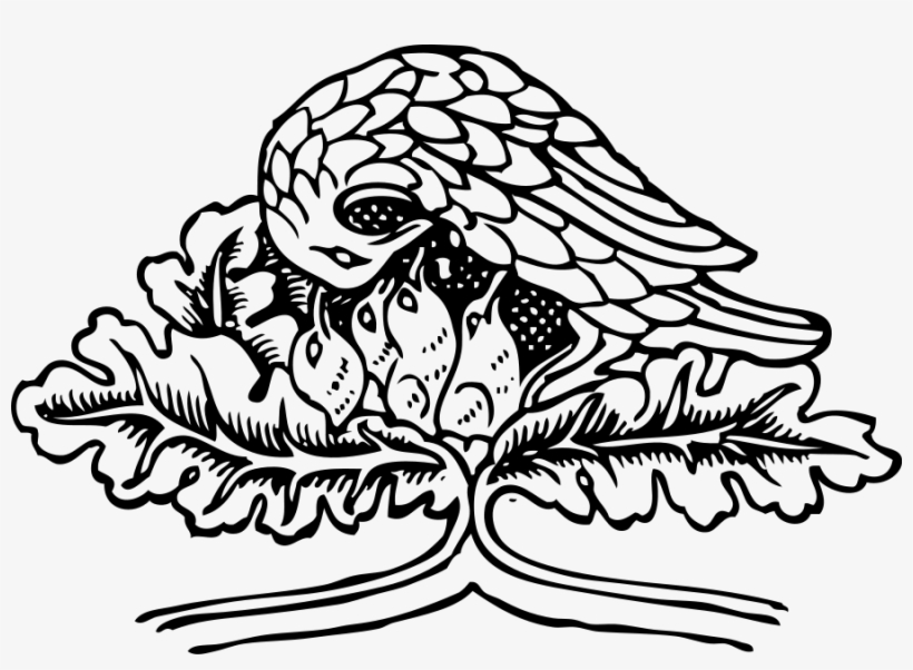 Bird And Chicks Svg Clip Arts 600 X 413 Px, transparent png #3655130