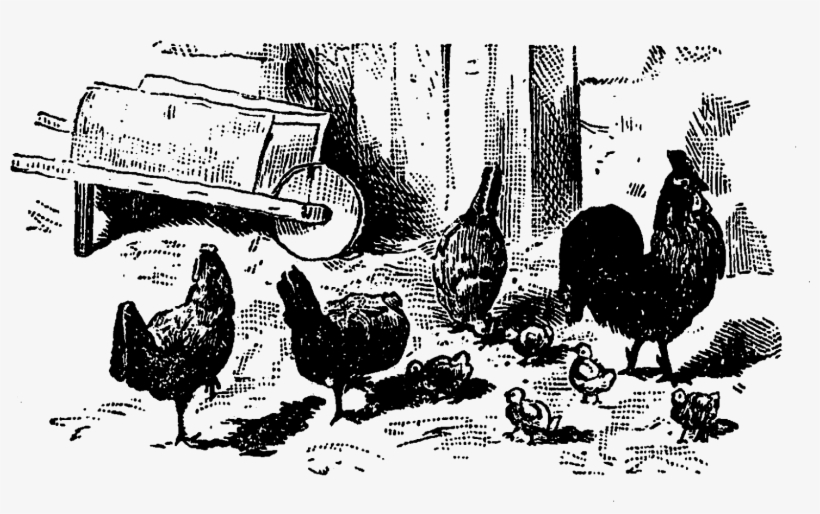Digital Farm Animal Downloads - Pecking, transparent png #3655464