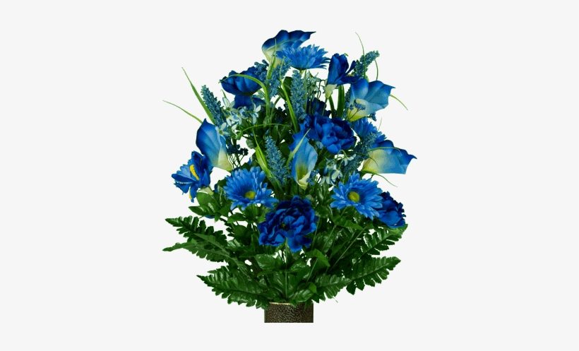 Photograph, transparent png #3655496