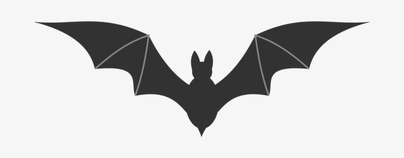 Bat Icon Symbol Black Silhouette Spooky Ho - ค้างคาว กราฟฟิก, transparent png #3655943