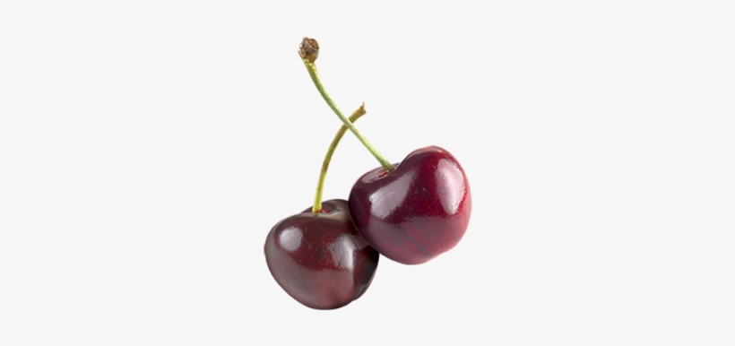 Cerises - Cherry, transparent png #3657395