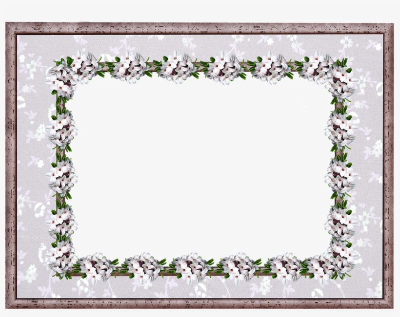 Frame, Border, Daphne, Floral - Picture Frame, transparent png #3657609