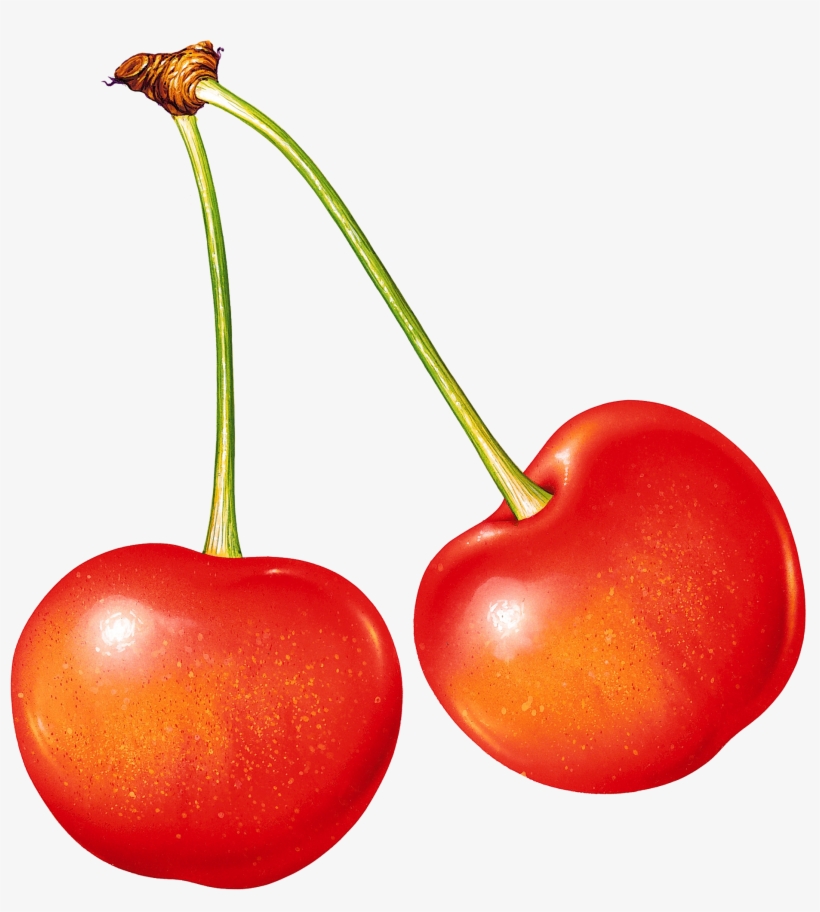 Cherry Png Image Without Background - Fruits Name, transparent png #3657777