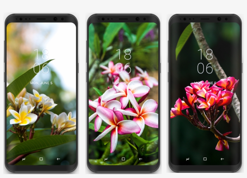 Samsung Galaxy Tropical Wallpaper Collection - Wallpaper, transparent png #3657779