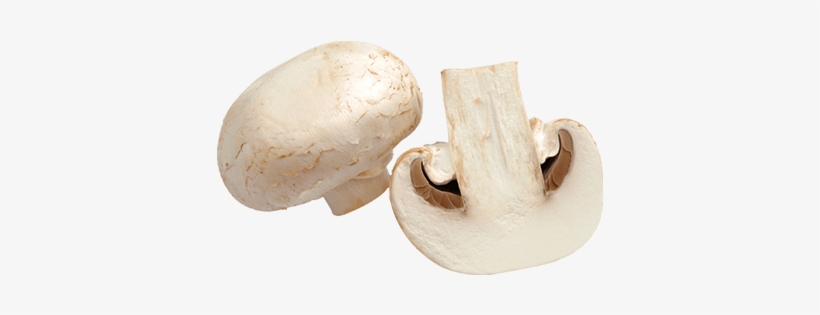 Champignon Png, transparent png #3659915
