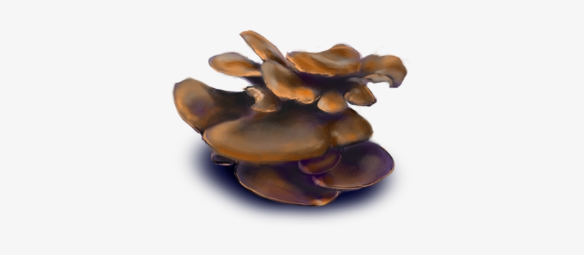 Oyster Mushroom - Figurine, transparent png #3660301