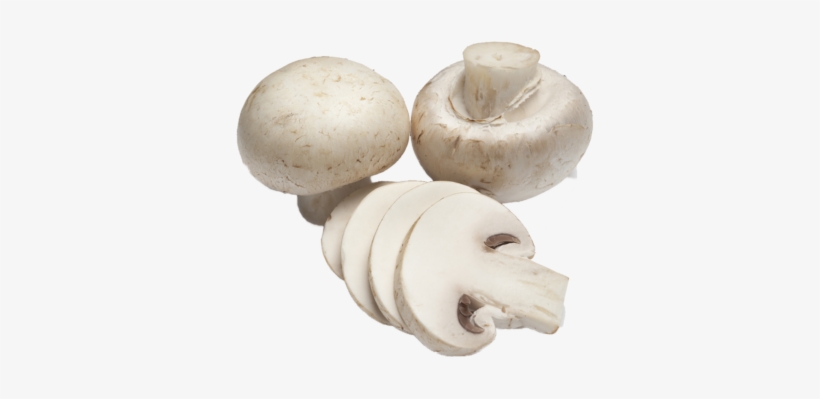 Button Mushroom - Freshly Cut Mushroom, transparent png #3660330