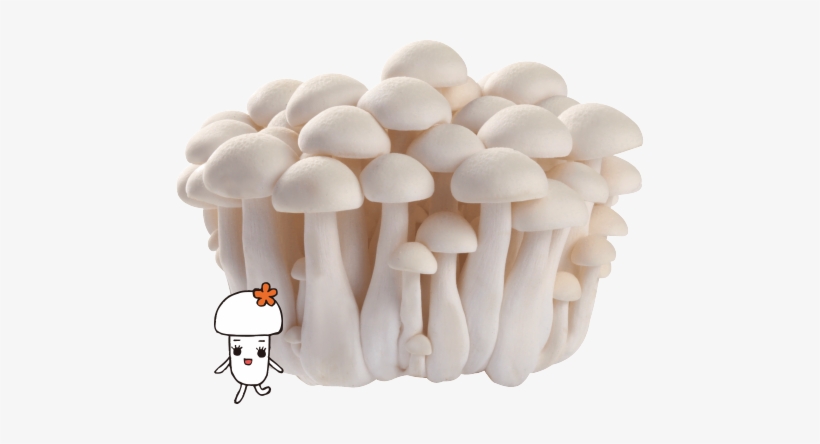 雪白 菇, transparent png #3660367