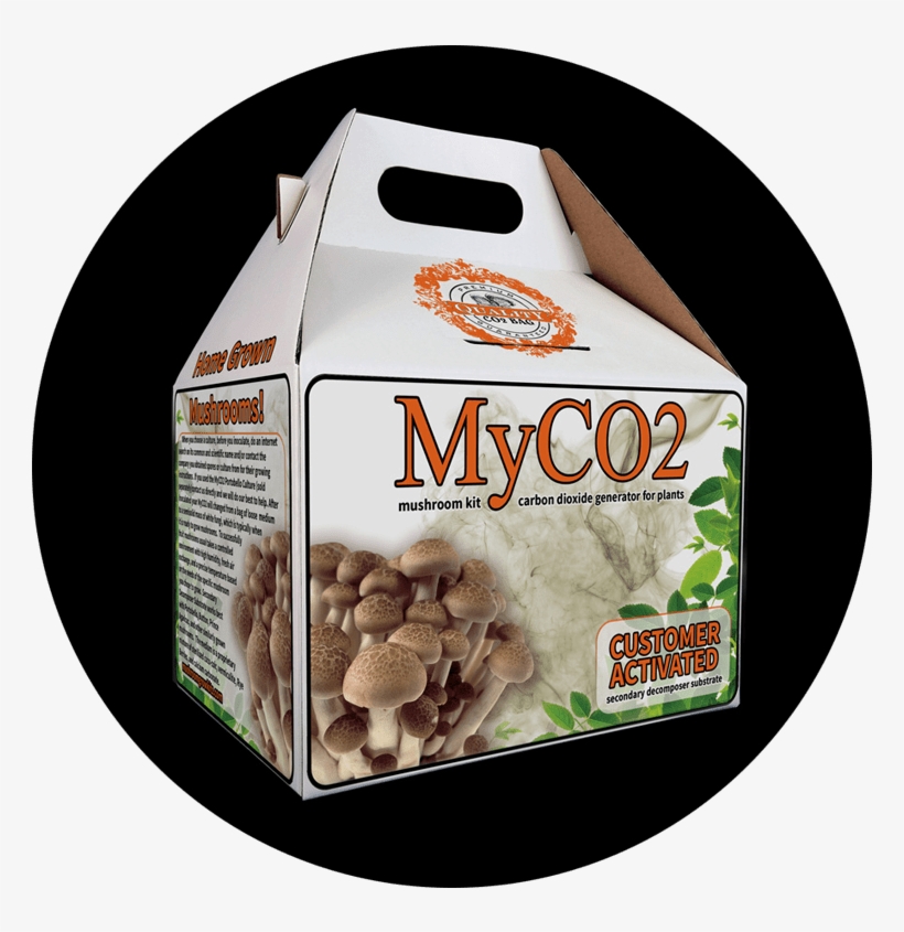 Myco2 Secondary Decomposer Substrate - Dessert, transparent png #3660907