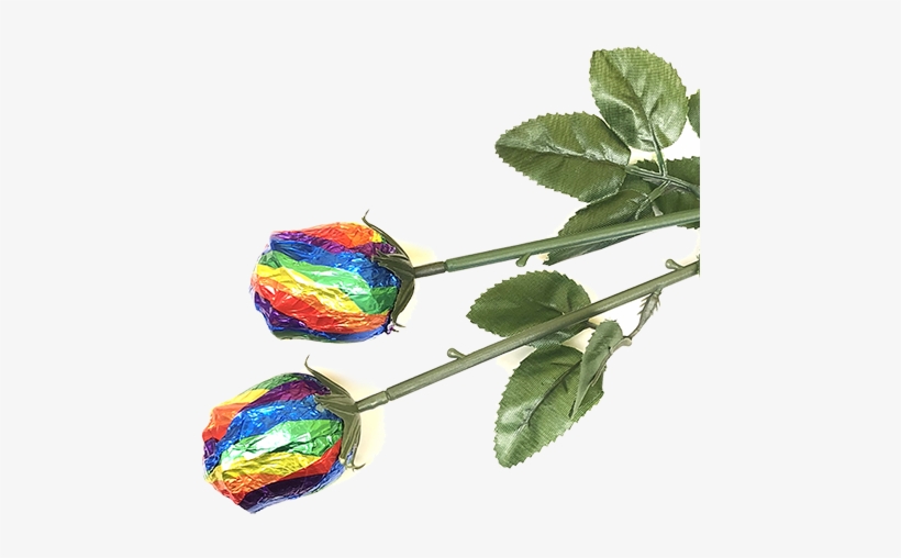 Rainbow Foiled Belgian Chocolate Color Splash Roses - Garden Roses, transparent png #3661226