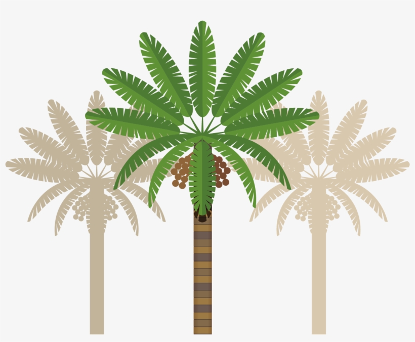 Leaves Clipart Coconut Tree - Abu Dhabi Clip Art, transparent png #3661306