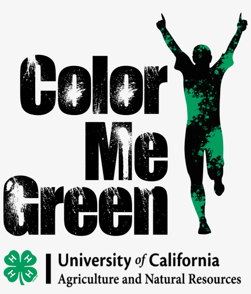 Cmg Logo Black & Green Only - City University, transparent png #3661397