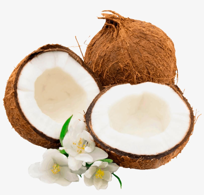 Coconut Palm Clip Art - Oakland Gardens Caribbean Coconut Fragrance Oil - 100%, transparent png #3661506