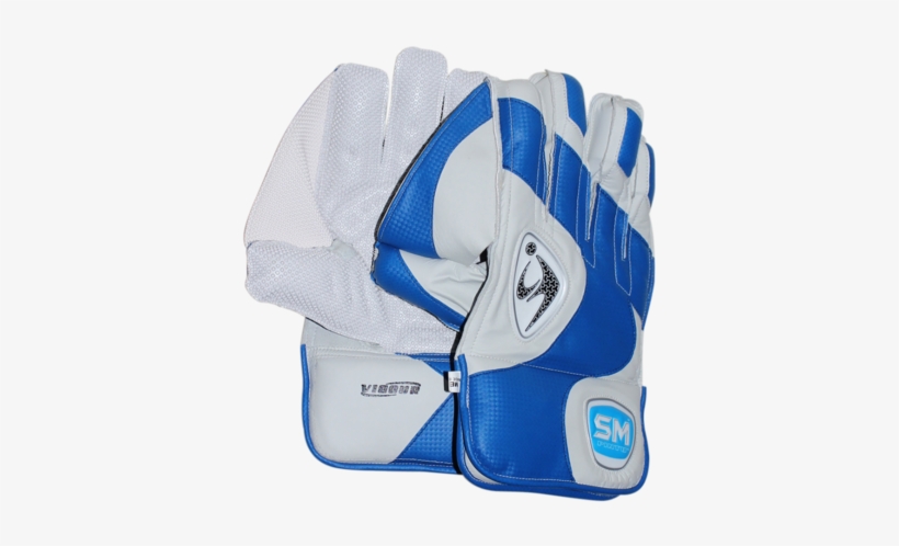 Cricket Wicket Keeping Gloves - Wicket Keeping Gloves Png, transparent png #3662067