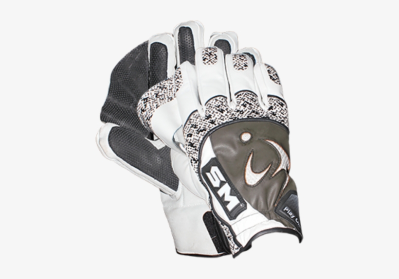 Indoor Cricket Gloves Wicketkeeper's Gloves Free Transparent PNG