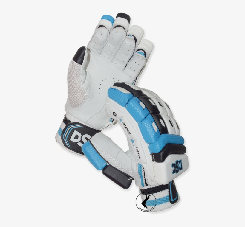 Dsc Intense Passion Cricket Batting Gloves - Batting Glove, transparent png #3662108