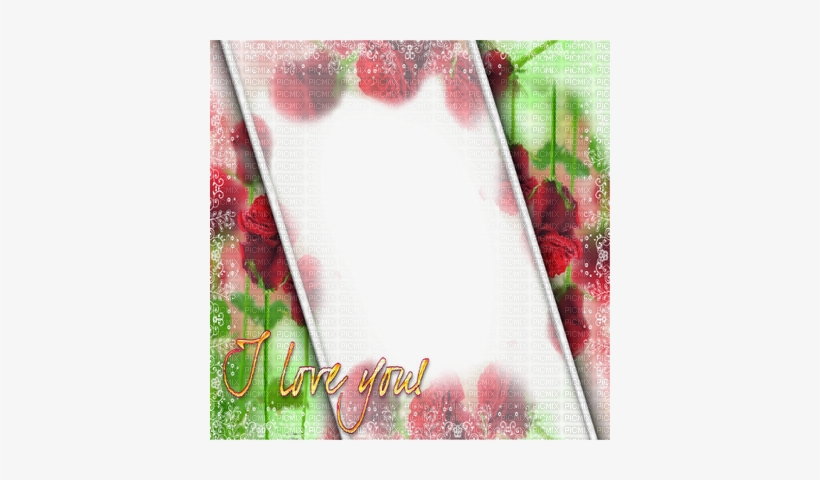 Rose Frame I Love You Cadre - Ilove, transparent png #3662162