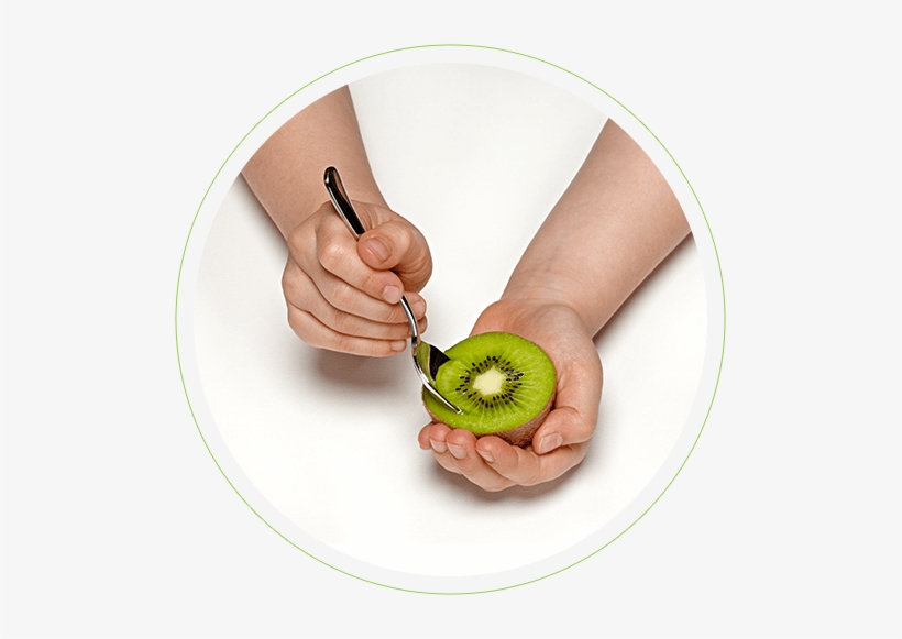 Scoop - Hardy Kiwi, transparent png #3662443