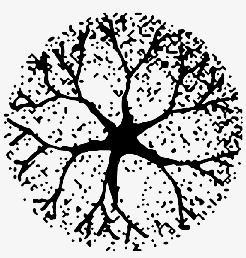 Tree Plan Png Download - Tree Plan Black Png, transparent png #3662793