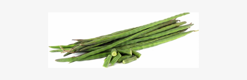 Drumstick Tree, transparent png #3662832