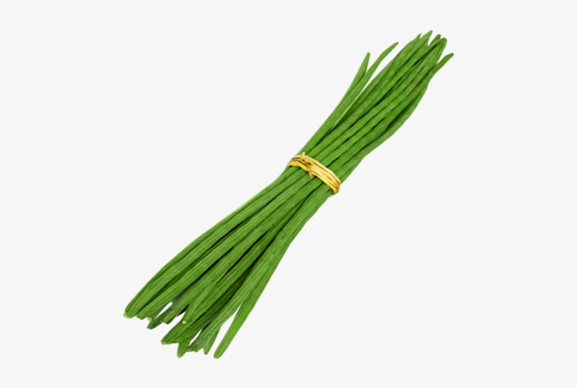 Welsh Onion, transparent png #3662972