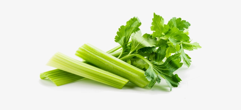 Drumstick - Celery Transparent Background, transparent png #3663277