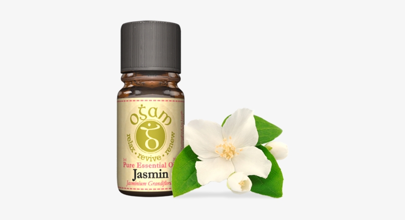Jasmine - Essential Oil, transparent png #3663327