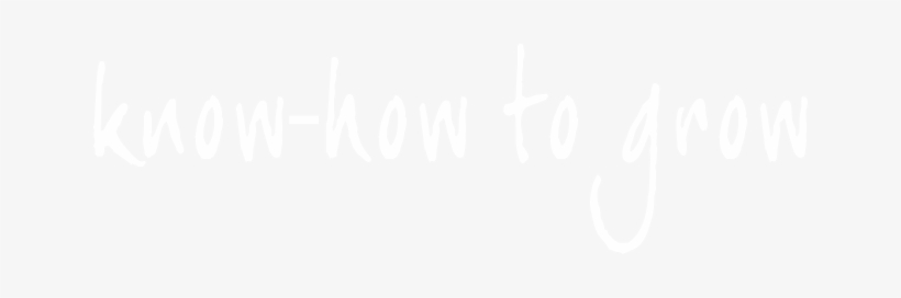 450 Hectares Of Unusual Trees And Shrubs - Calligraphy, transparent png #3663367