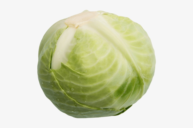 ½ Unit - Cabbage, transparent png #3663505