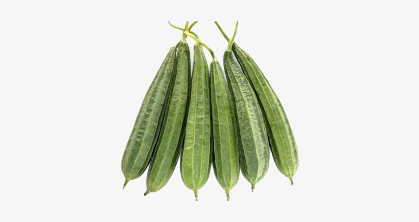 500g - Turai Vegetable, transparent png #3663755