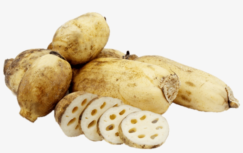 Vegetables - Sacred Lotus, transparent png #3663778