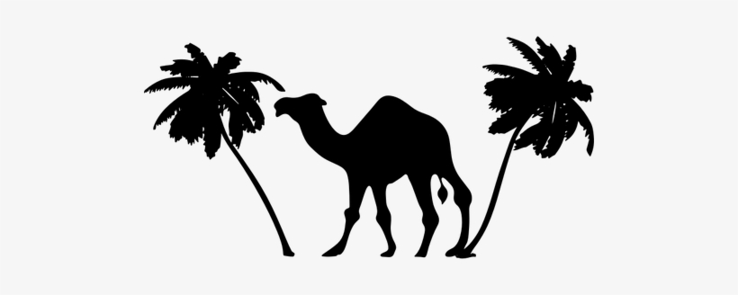 Camel And Palm Trees Public Domain Vectors - Camel Clipart, transparent png #3664011