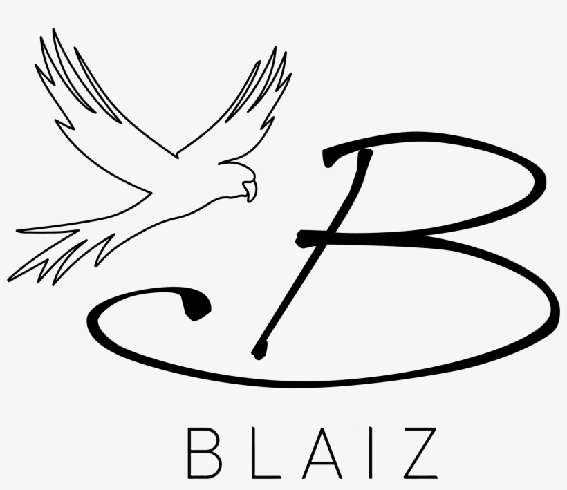 Shop The Best Latin American Design Delivered Straight, transparent png #3664136