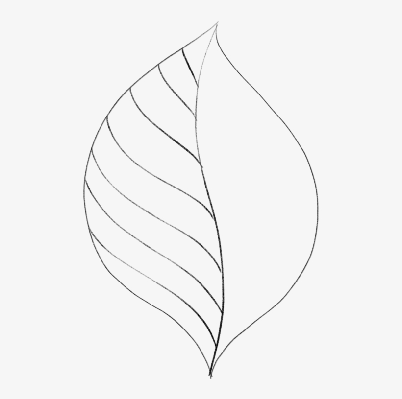 Drawing Leaves Easily Using Simple Shapes Jspcreate - Drawing Of Leaf, transparent png #3664214