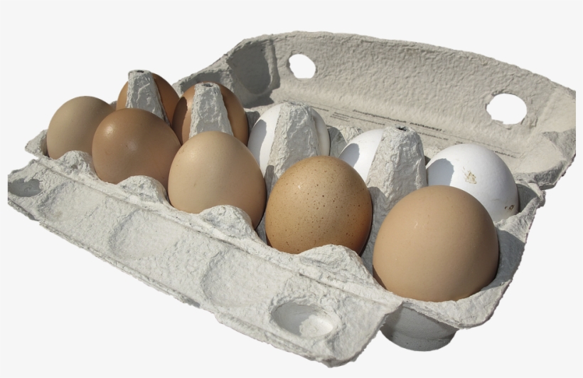 Egg,hen's Egg,egg Carton,lots Of Eggs,egg Packaging,brown - Carton Of Eggs Transparent Background, transparent png #3664942