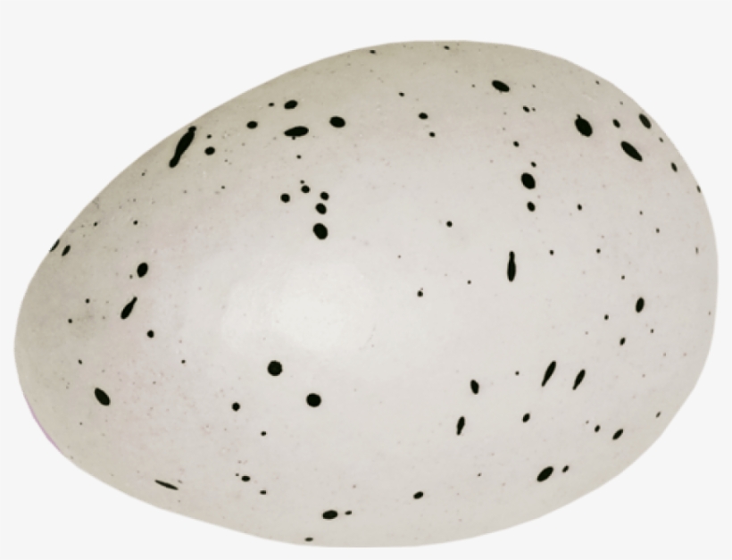 Free Png Eggs Png Images Transparent - Discorbitina Pustulata, transparent png #3665226