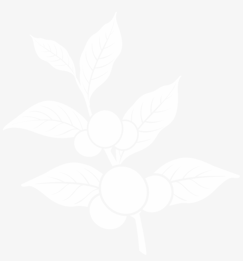 Coffee Leaf - Illustration, transparent png #3665433