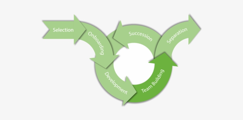 The Employee Lifecycle - Employee Lifecycle, transparent png #3665481