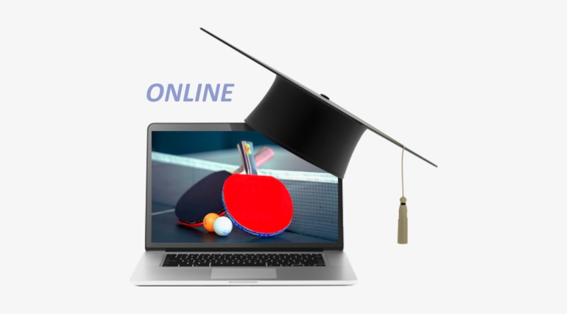 University Degree Study Programme In Sports Coaching - Table Tennis, transparent png #3666024
